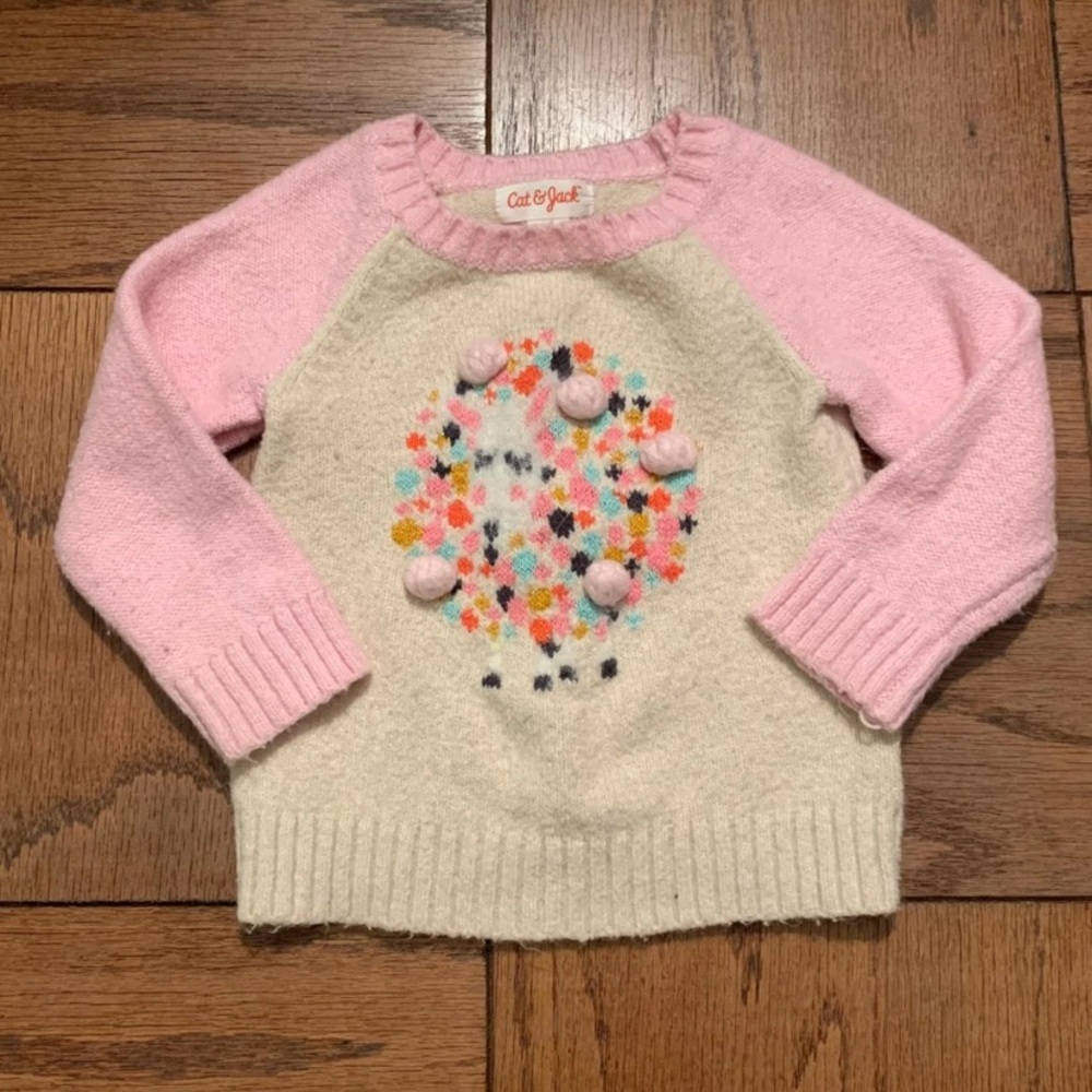 12m Cat & Jack Sweater